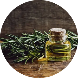 Rosemary Essential Oiland Fresh Herbs PNG image