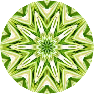 Rosemary Kaleidoscope Pattern PNG image