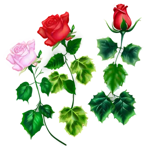 Roses And Ivy Png Jkq27 PNG image