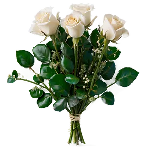 Roses Baby Breath Png Iww PNG image
