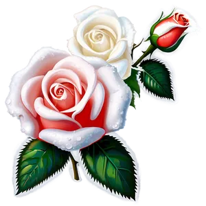 Roses In Snow PNG 77