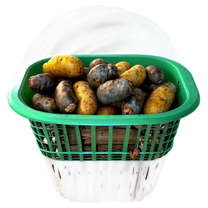 Rotten Food In Trash Png 61 PNG image