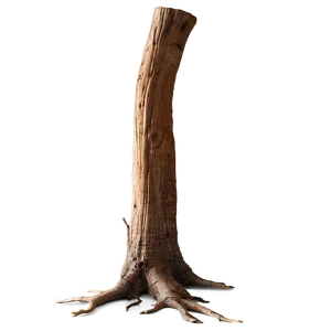Rotten Tree Trunk PNG 05242024