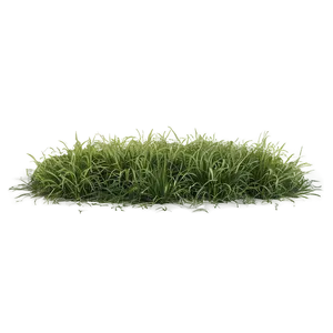 Rough Grass Patch PNG 06212024
