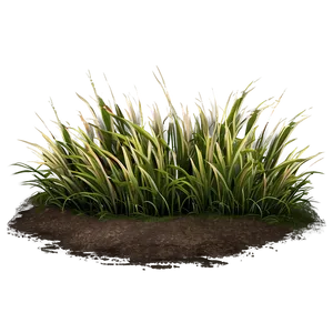 Rough Grass Patch PNG 06212024