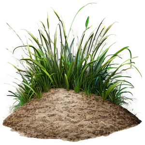 Rough Grass Patch PNG Han