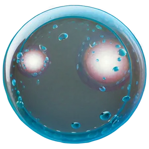 Round Bubble Graphic Png Ydm PNG image