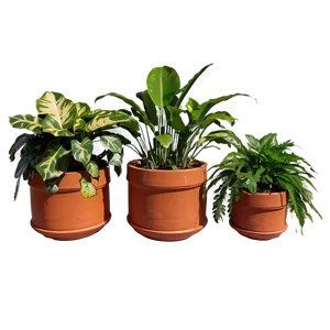 Round Planter Box PNG 30