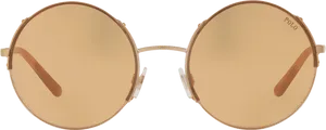 Round Polo Sunglasses Isolated PNG image