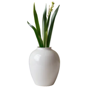Round Vase PNG Mpy7 PNG