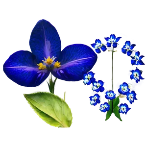 Royal Blue Flower PNG 05242024