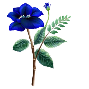 Royal Blue Flower PNG Pcv