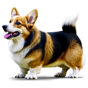Royal Corgi PNG Avi