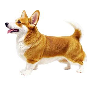 Royal Corgi Png Gcj55 PNG image