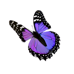 Royal Purple Butterfly Png Xqt PNG image
