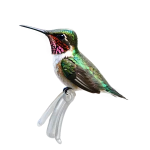 Ruby-throated Hummingbird PNG 05212024