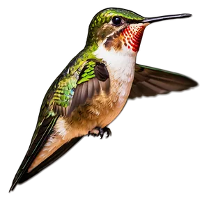 Ruby-throated Hummingbird Png 05212024 PNG image