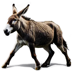 Running Donkey PNG 52