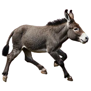 Running Donkey PNG Ska