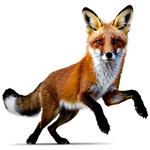 Running Fox Picture Png Mrw95 PNG image