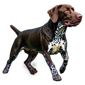 Running German Shorthaired Pointer PNG 99