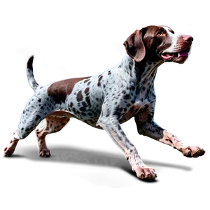 Running German Shorthaired Pointer PNG Ruk59 PNG
