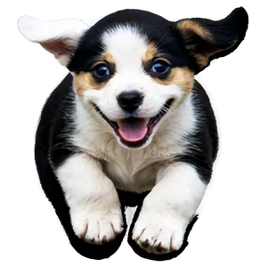 Running Puppy Png 57 PNG image