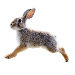 Running Rabbit PNG Oaj