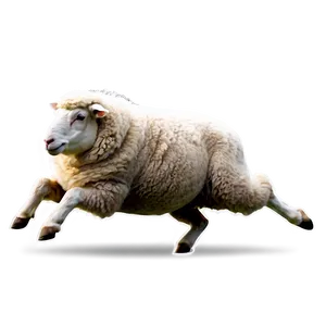 Running Sheep PNG 1 PNG