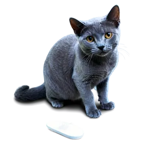 Russian Blue Cat Grooming Png 06272024 PNG image