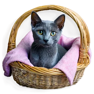 Russian Blue Cat In Basket Png 23 PNG image