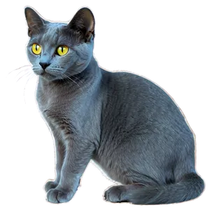 Russian Blue Cat In Elegant Pose Png 88 PNG image