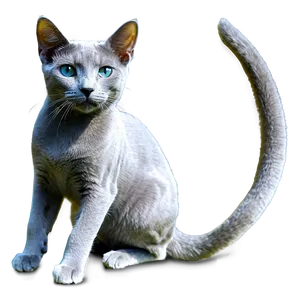 Russian Blue Cat In Garden Png Vxu83 PNG image