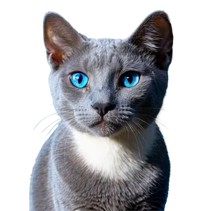 Russian Blue Cat In Sunlight Png 43 PNG image