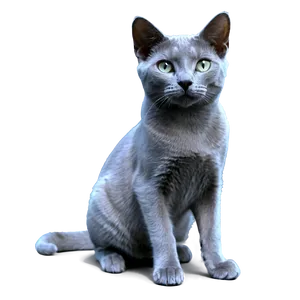 Russian Blue Cat PNG Ggs