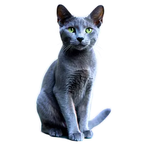 Russian Blue Cat With Sparkling Eyes Png Erv PNG image