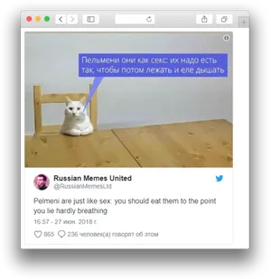Russian Cat Meme Pelmeni Comparison PNG image