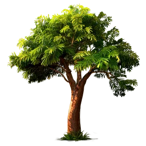 "rustic Acacia Tree PNG" Wjj67