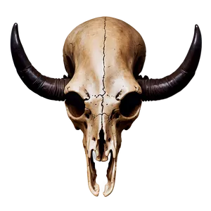 Rustic Animal Skull Decor PNG 06282024 PNG