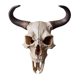 Rustic Animal Skull Decor PNG Emm PNG