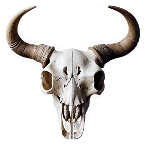 Rustic Animal Skull Decor PNG Tfb PNG