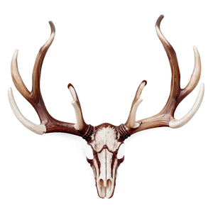 Rustic Antler Design Png Cpd PNG image