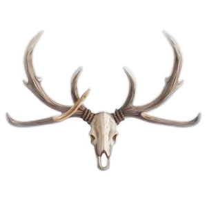 Rustic Antler Design Png Gvw70 PNG image