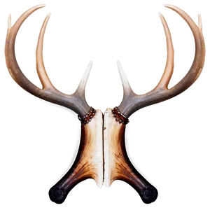 Rustic Antler Design Png Xmt PNG image