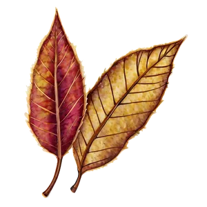 Rustic Autumn Leaves Png Yna PNG image