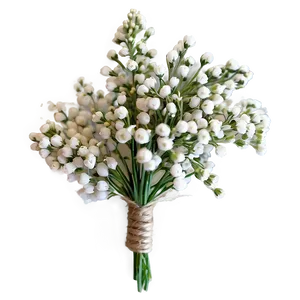 Rustic Baby's Breath Boutonniere Png 45 PNG image