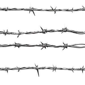 Rustic Barbed Wire Fence Png 83 PNG image