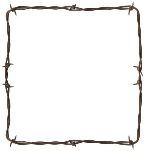Rustic Barbwire Frame PNG