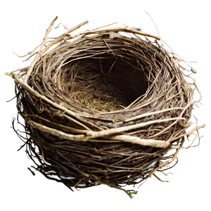 Rustic Bird Nest PNG 06212024