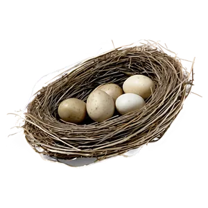 Rustic Bird Nest PNG 44